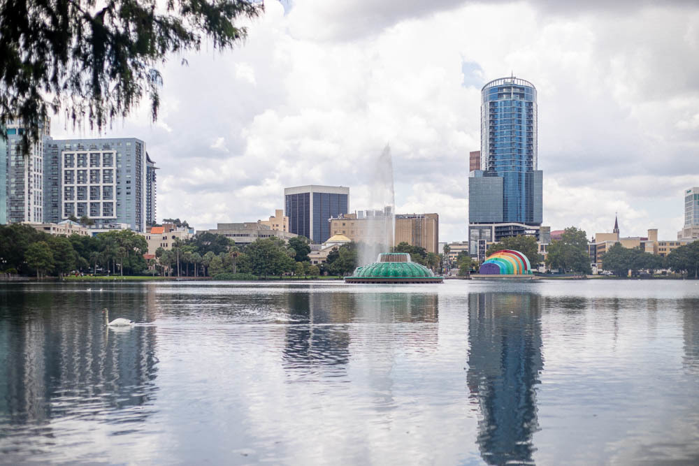 Lake Eola with swan and buildings in background
