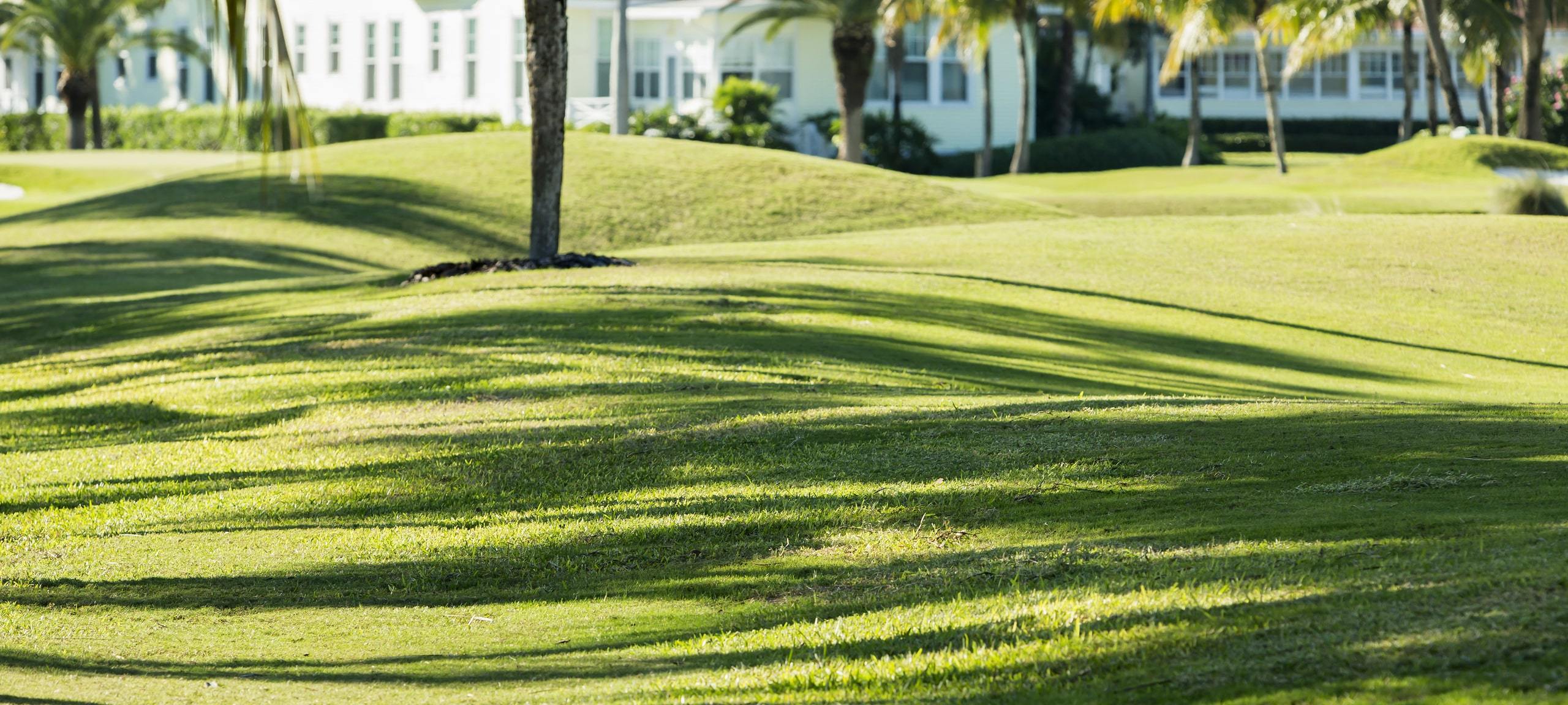 Clermont, FL golf course with homes in background