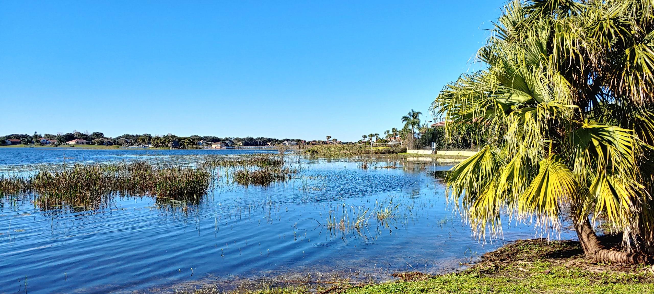 Sunny afternoon at Big Sand Lake in Dr Phillips, Florida