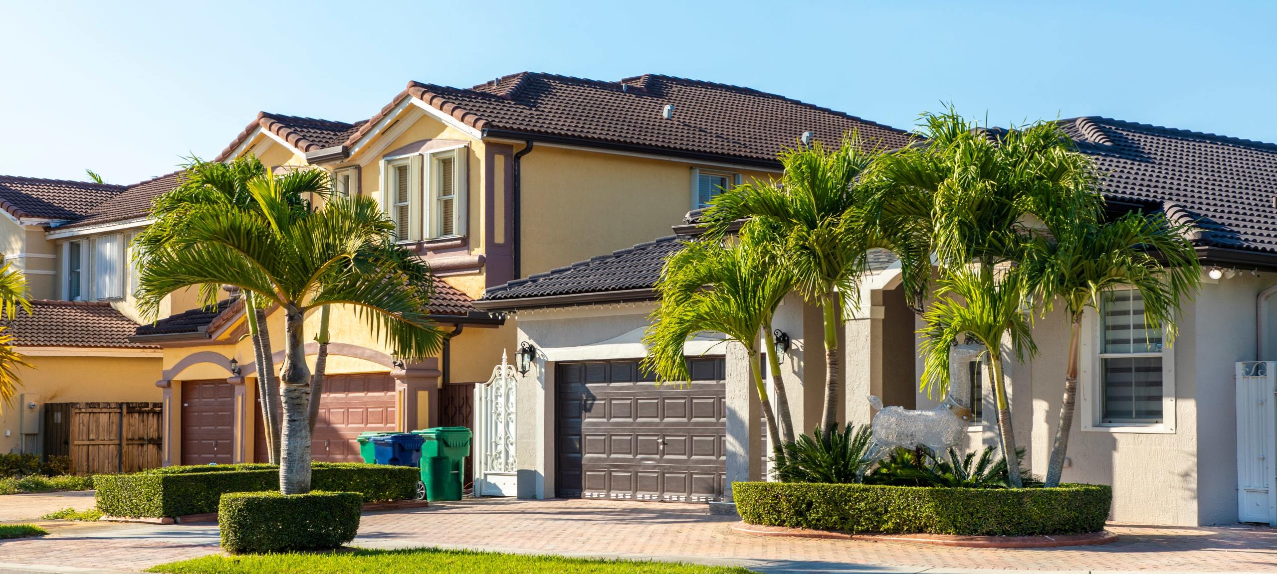 Residential street with two large single-family homes, typical of Dr Phillips, FL