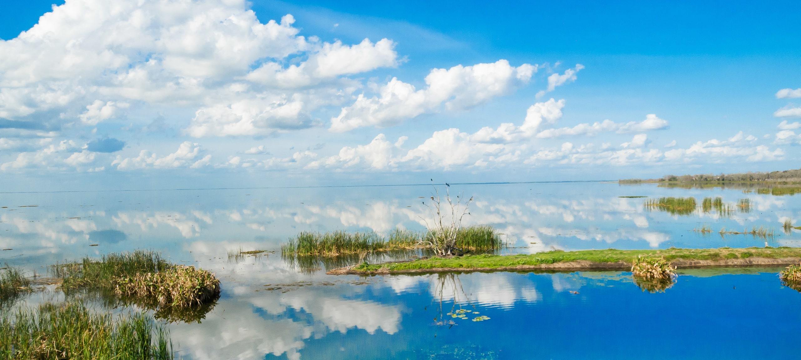 Sunny day at Lake Apopka in Winter Garden, FL